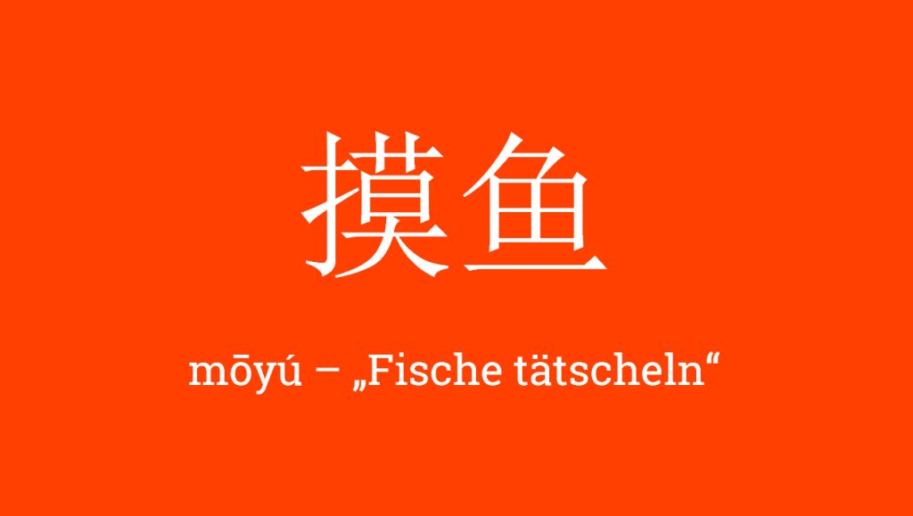 摸鱼 - mōyú - 