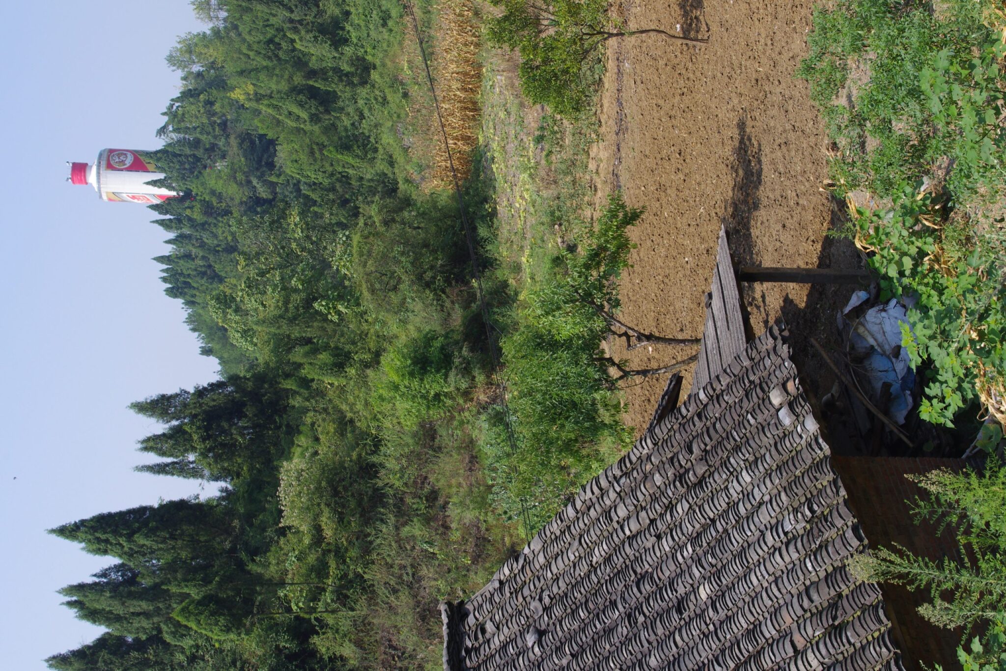Neues Wahrzeichen der Region in der Provinz Guizhou, wo Hirse angebaut und daraus der Original-Maotai hergestellt wird, ist ein mehr als 31 Meter hoher Porzellanturm in Form einer Maotaiflasche. 
