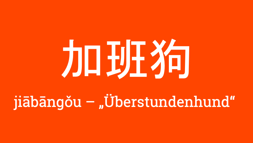 Von Überstundenhund bis Singlehund - warum werden Chines:innen als Hund bezeichnet?