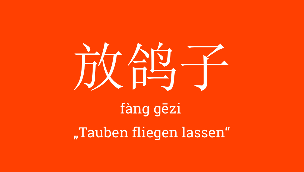 放鸽子- fàng gēzi - 