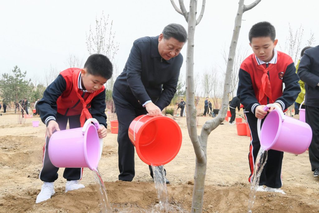 China möchte den Klimawandel durch groß angelegte Wald-Aufforstungsprojekte stoppen. Xi Jinping unterstützt.