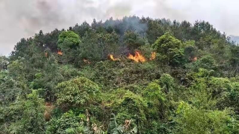 Das Bild zeigt die Aufprallstelle des abgestürzten Flugzeuges in Guangxi. Es ist ein bewaldeter Hügel zu sehen, der in Flammen steht.
