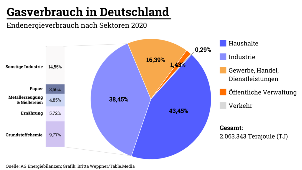 Gaskrise: Gasverbrauch in Deutschand - Energieverbrauch nach Sektoren 2020