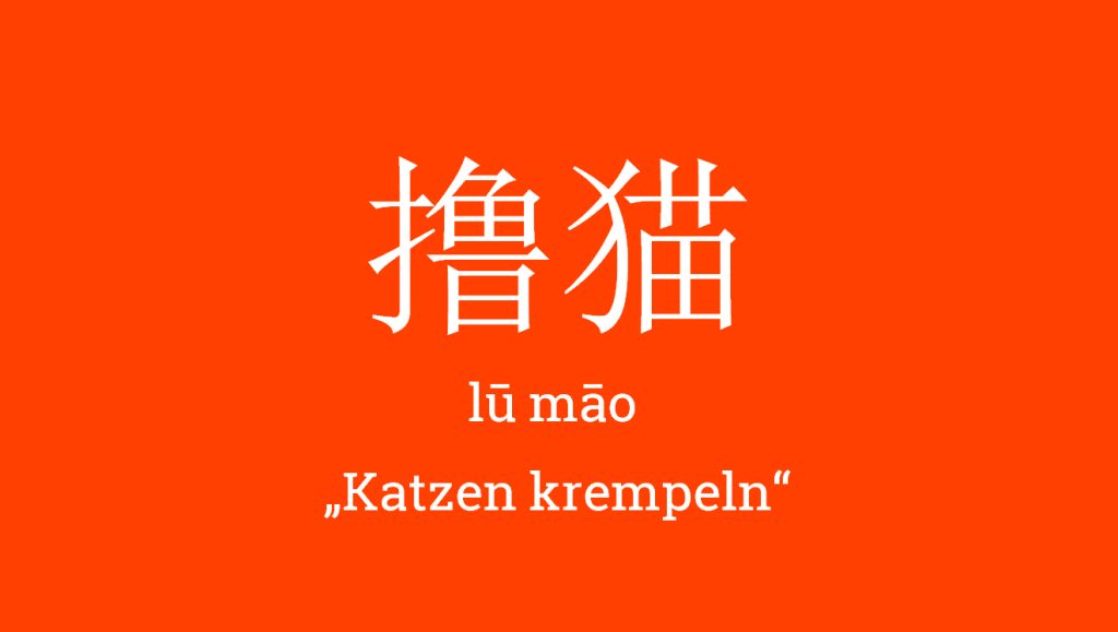 撸猫 - lū māo - Katzen krempeln