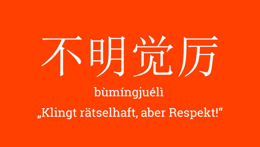 Chengyu bùmíngjuélì