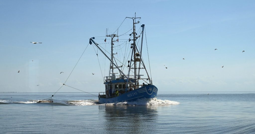 fischerei fischer schiff