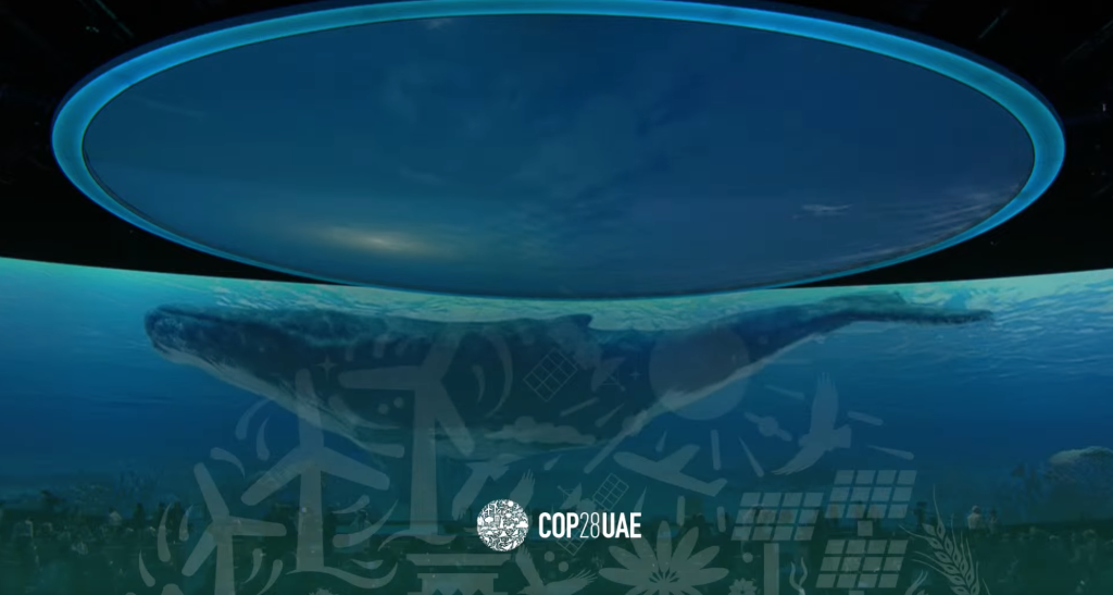 Wal-Animation auf der COP28