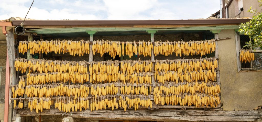 SDG 2 "Kein Hunger": Zum Trocknen aufgehängte Maiskolben vor einem Haus in Cenlle, Spanien