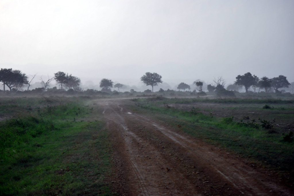 Sturm Tansania