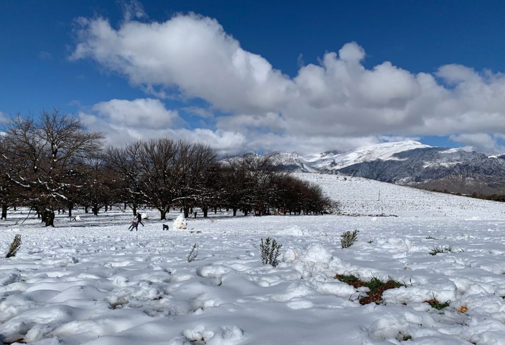 Schnee in Südafrika: ein seltener Anblick. Hier am Westkap 2021.