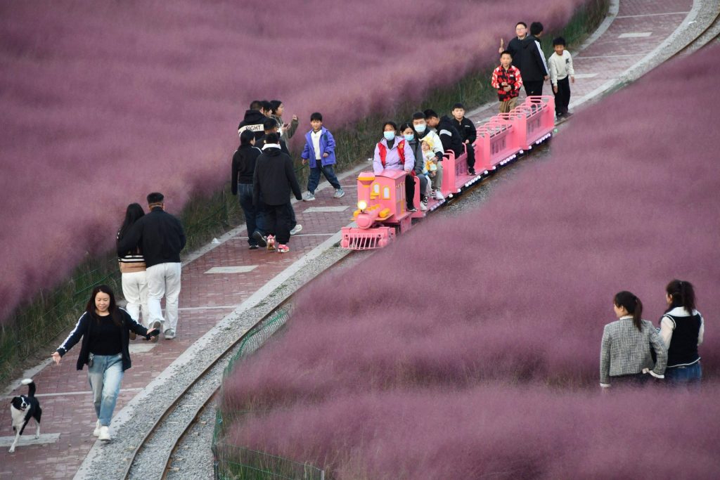 Hebei pinfarbenes Gras Tourismus