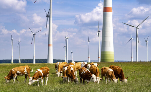 Viehweide östlich von Lichtenau, Windpark, NRW, Deutschland, Windpark Viehweide *** Viehweide east of Lichtenau, wind farm, NRW, Germany, Viehweide wind farm