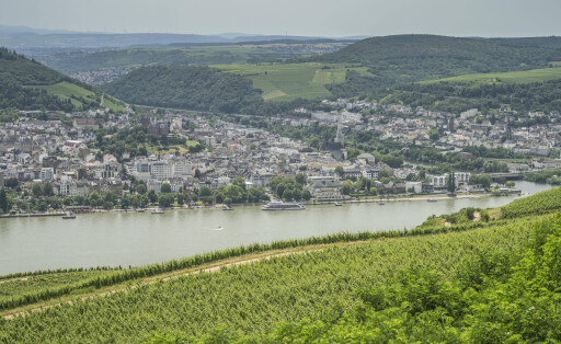 Bingen am Rhein, Rheinland-Pfalz, vorne Weinberge Rüdesheim Rheingau, Hessen, Deutschland