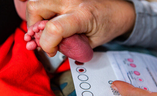 Beim Gesundheitsscreening für Neugeborene wird beim Fersenbluttest ein Tropfen aus dem Fuß des Säuglings gedrückt, um ihn zu analysieren.