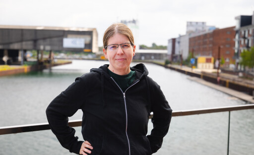 Sonja Lemke, forschungspolitische Sprecherin der Fraktion Die Linke im Bundestag