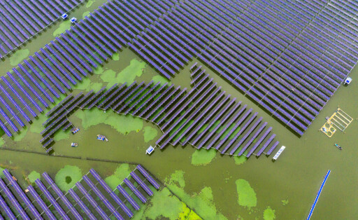 Solarfisch