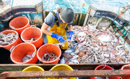 Fischerei