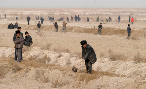 China Zwangsarbeit Xinjiang