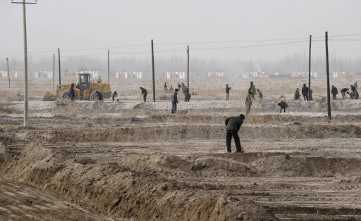 China Xinjiang Zwangsarbeit