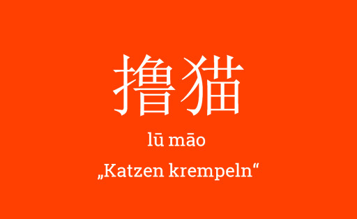 lu mao Katzen krempeln