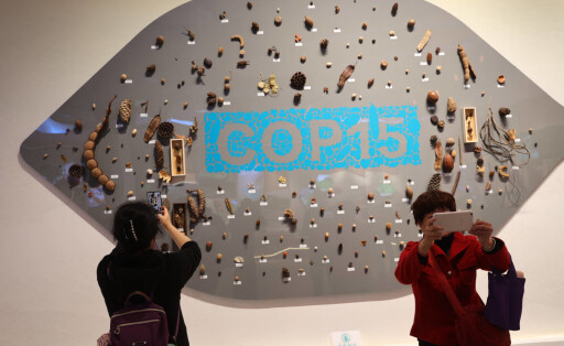 China COP15
