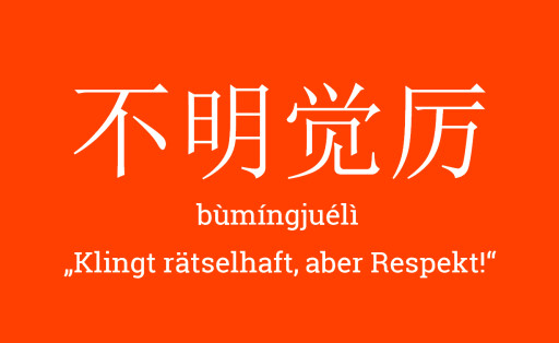 Chengyu bùmíngjuélì