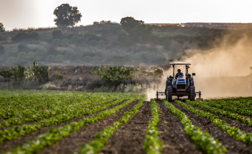 Landwirtschaft