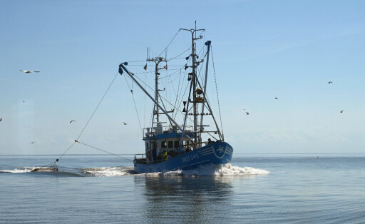 Fischerboot
