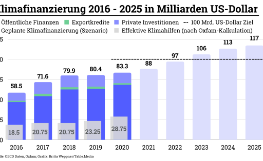 Klimafinanzierung 2016 - 2025 in Milliarden US-Dollar