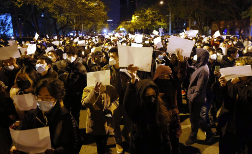 Die Teilnehmer der Proteste waren vor allem junge Menschen.