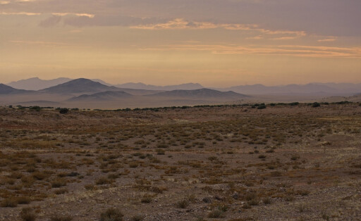 In der Namib in der Nähe der Stadt Lüderitz soll ein großes Wasserstoff-Projekt entstehen.