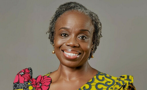 Mavis Owusu-Gyamfi ist geschäftsführende Vizepräsidentin der Denkfabrik African Center for Economic Transformation mit Sitz in Accra.