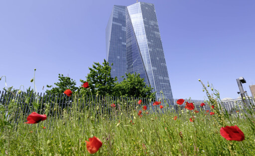 DEU , DEUTSCHLAND : Die Europaeische Zentralbank EZB in Frankfurt , 25.05.2023 DEU , GERMANY : The European Central Bank ECB in Frankfurt , 25.05.2023 *** DEU , GERMANY The European Central Bank ECB in Frankfurt , 25 05 2023 DEU , GERMANY The European Central Bank ECB in Frankfurt , 25 05 2023
