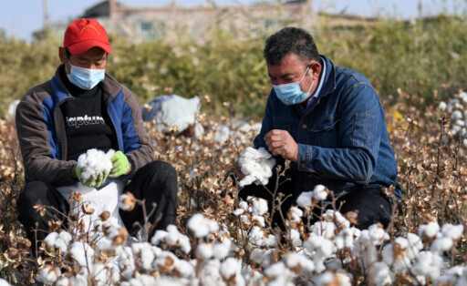 Zwangsarbeit Xinjiang Uigur