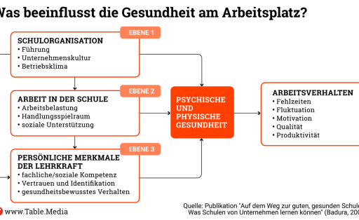 TM_Bildung_STOP_Organigramm