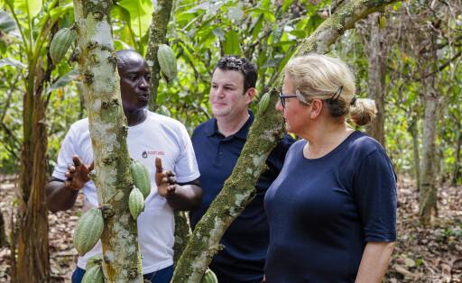 Svenja Schulze und Hubertus Heil vergangene Woche beim Besuch einer Kakaoplantage der „Cooperative Rasso“ in Agboville (Elfenbeinküste).