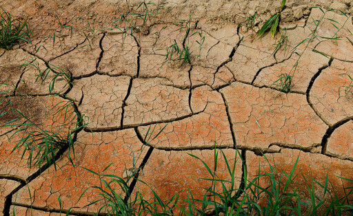Ackerboden mit Trockenrisse, Deutschland, Bayern, Isental arable land with dry cracks, Germany, Bavaria, Isental BLWS675585 *** Arable land with drying cracks, Germany, Bavaria, Isental arable Country With Dry cracks, Germany, Bavaria, Isental BLWS675585 Copyright: xblickwinkel/A.xHartlx
