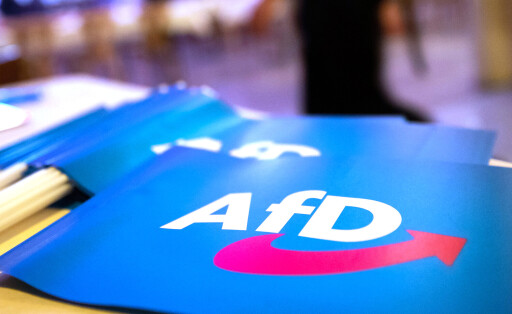 ARCHIV - 24.11.2018, Bayern, Greding: Fähnchen mit dem Logo der AfD liegen beim Landesparteitag der AfD Bayern auf einem Tisch. (zu dpa "Kreistag muss neu über AfD-Nachrücker entscheiden") Foto: Daniel Karmann/dpa +++ dpa-Bildfunk +++