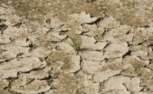 dried out soil in heat and dryness in summer time drought on field in summer