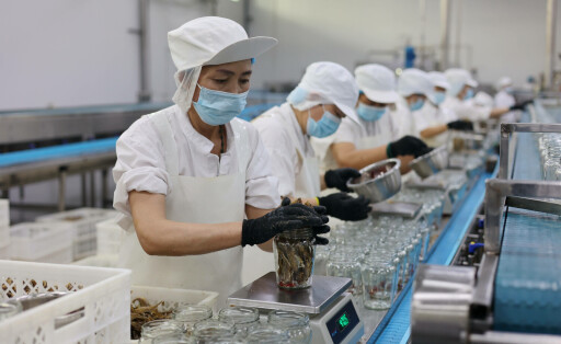 China Shandong Food Industry Workers packing dried mackerel at a canned fish processor in Laoling city in east China s Shandong province Saturday, Sept. 09, 2023., Credit:CHU BAORUI / Avalon CHINA, SHANDONG, LAOLING PUBLICATIONxNOTxINxUKxFRAxUSA Copyright: xCHUxBAORUIx/xAvalonx 0804322384