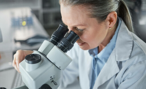 Wissenschaft, Forschung und Mikroskop mit einer Ingenieurin, die in ihrem Labor an Innovation und Entwicklung arbeitet.