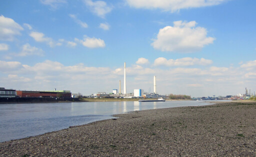 Rhein bei Köln