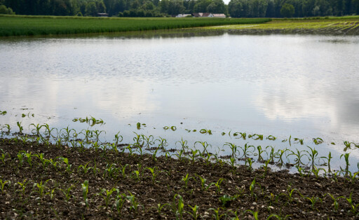 Feld überflutet