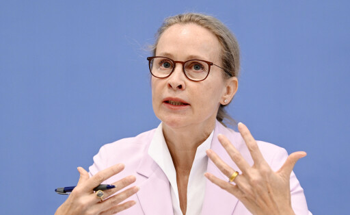 Frauke Brosius-Gersdorf