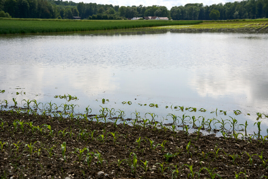 Feld überflutet