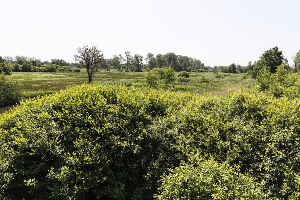 Naturreservat Demerbroeken in der Provinz Flämisch-Brabant