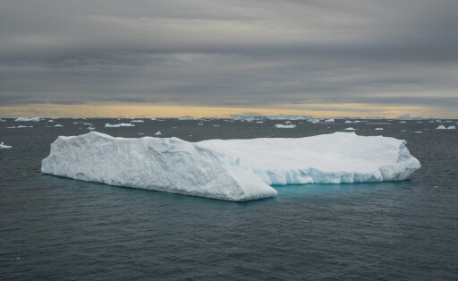 Eis in der Antarktis nahe Paulet Island.