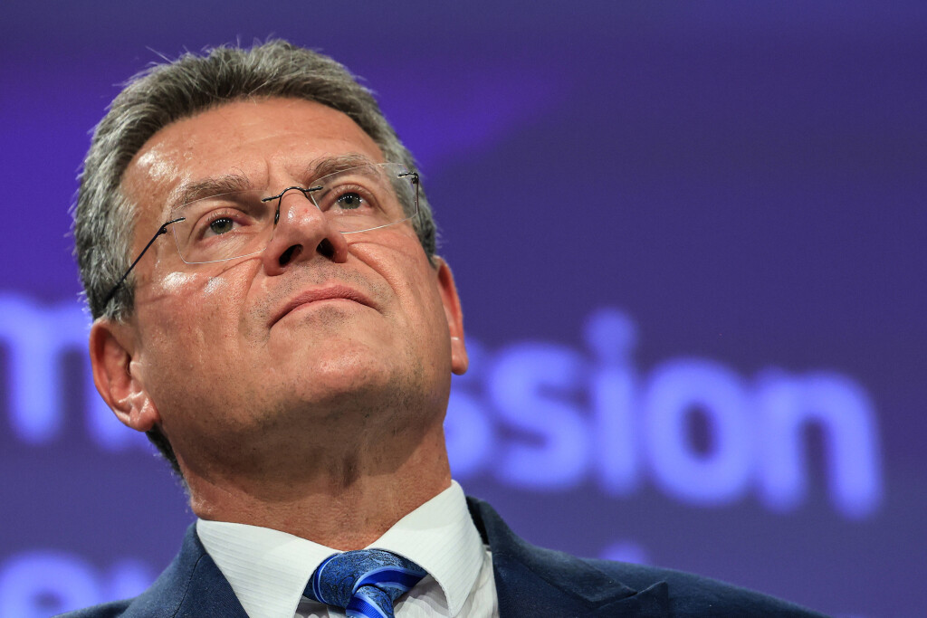 Maros Šefčovič, Kommissar