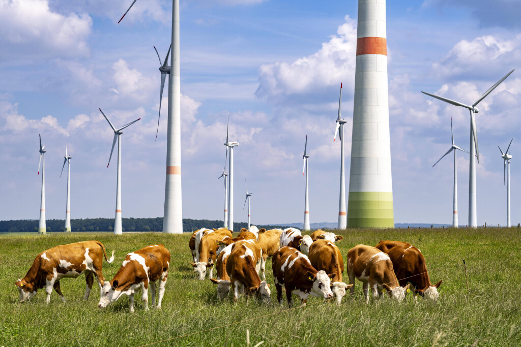 Viehweide östlich von Lichtenau, Windpark, NRW, Deutschland, Windpark Viehweide *** Viehweide east of Lichtenau, wind farm, NRW, Germany, Viehweide wind farm