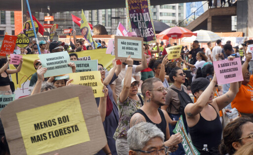 Demonstrierende halten Schilder hoch, auf denen sie mehr Klimaschutz für den Regenwald im brasilianischen Amazonasgebiet fordern